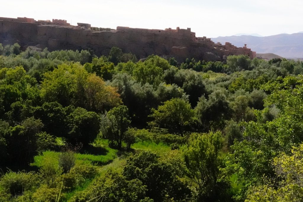 Rose Valley Kaalaat M'gouna Green Nature