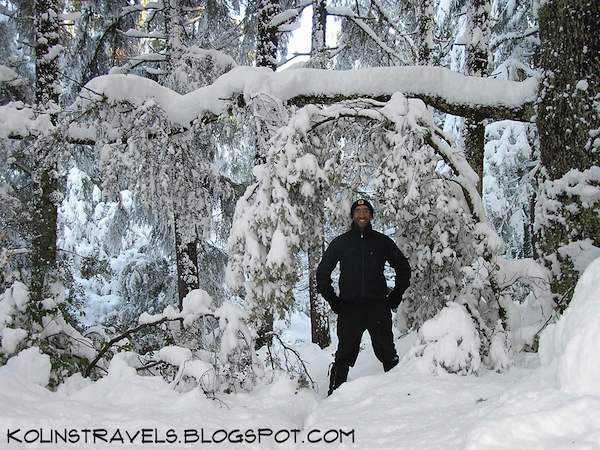 Snow in Ifrane Morocco