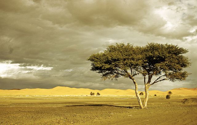 Rural Morocco LGBTQ Travel