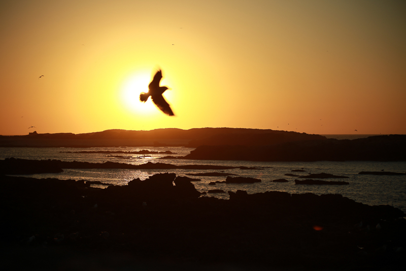 Kick Back and Relax in Morocco
