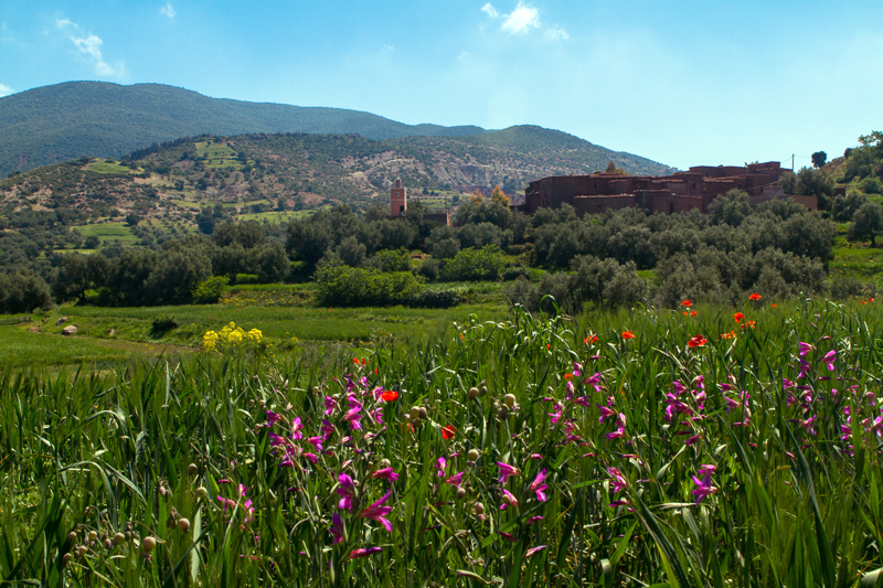 Climb the Mountains of Morocco