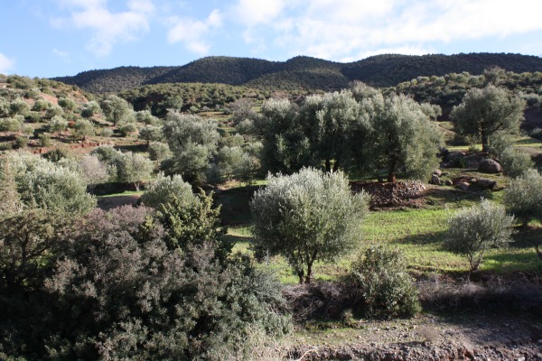 Top Places to Walk, Hike, and Trek in Morocco; Ourigane