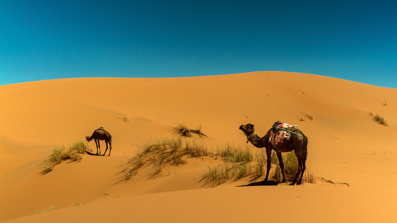 Moroccan Desert Luxury | journeybeyondtravel.com