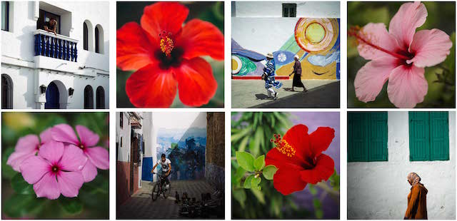 Flower Paintings Asilah