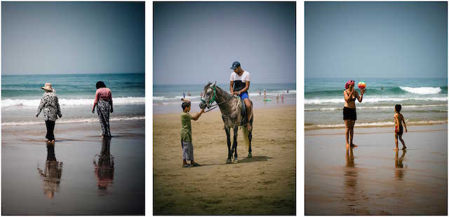 Horses on Paradise Beach