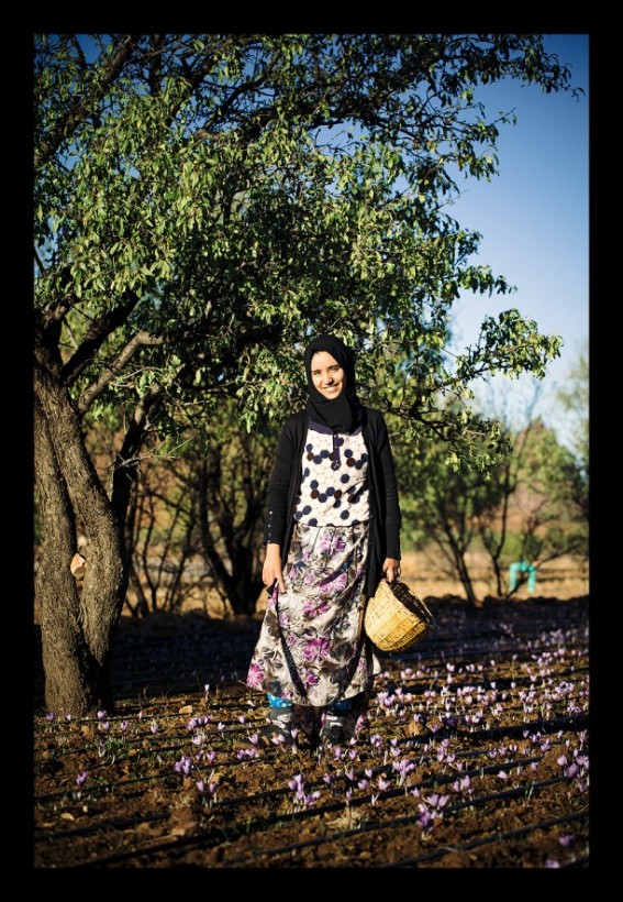Female saffron farmer with basket