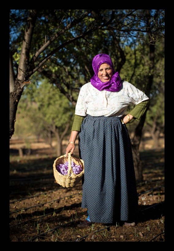 Female saffron farmer in purple scarf