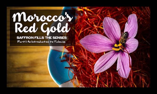 Harvesting saffron, part II in this series.