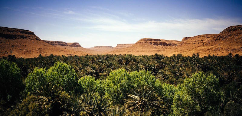Plains of the Ziz Valley