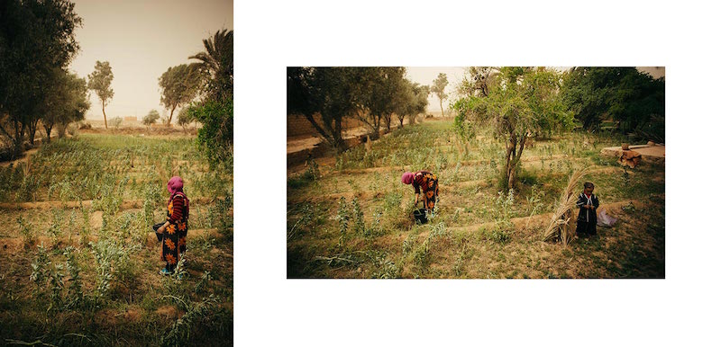 Rural life in Ziz Valley