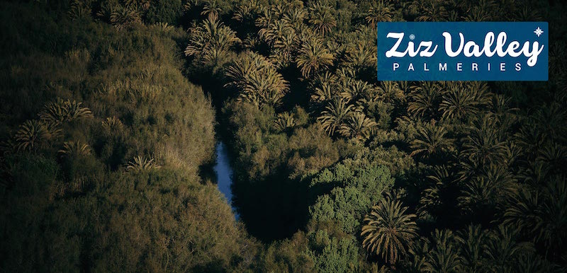 Palmeries in the Ziz Valley, Morocco