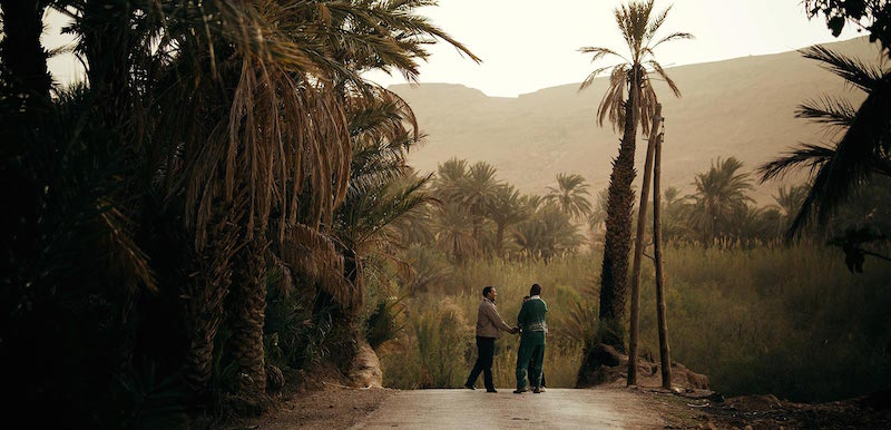 Sunset in the Ziz Palmeries