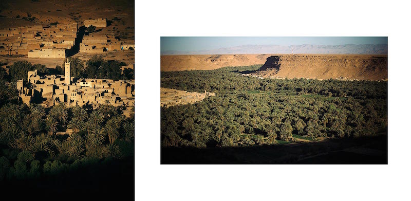 Shadows on the Ziz Palmeries