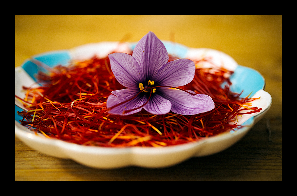 How Moroccan Saffron is Separated from the flowers