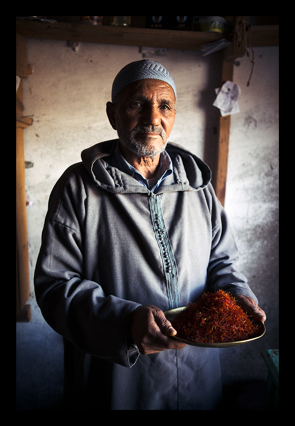 Saffron Harvesting in Morocco