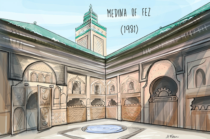 Medina of Fez - Moroccos UNESCO World Heritage Sites
