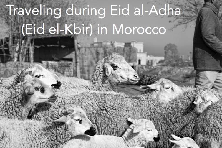 Eid al-Adha in Morocco with sheep