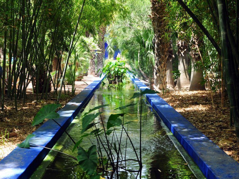 Marrakesh garden, Marrakesh gardens, Popular marrakesh gardens, Moroccan gardens, Yves Saint-laurent garden