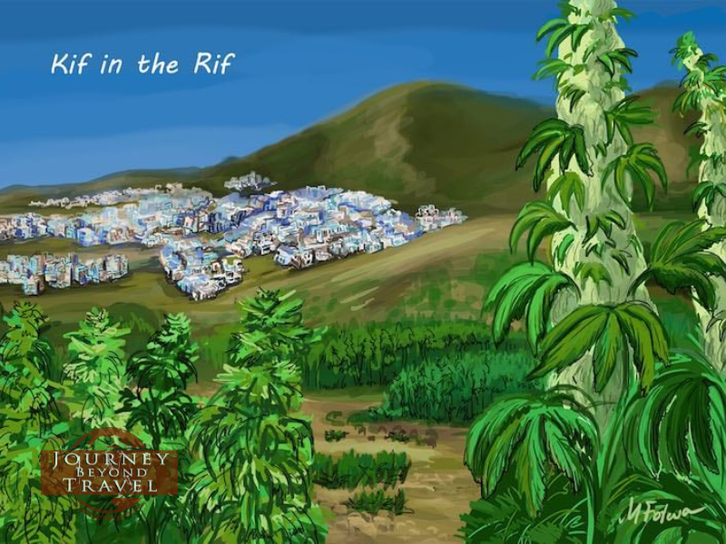 Kif in the Rif: Truths about Hashish in Morocco