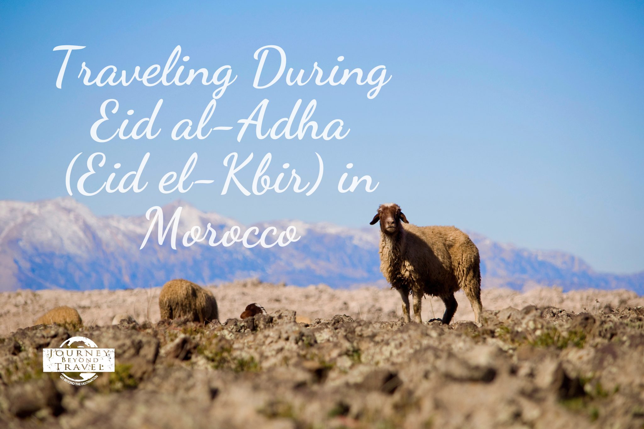 Traveling During Eid al-Adha (Eid el-Kbir) in Morocco