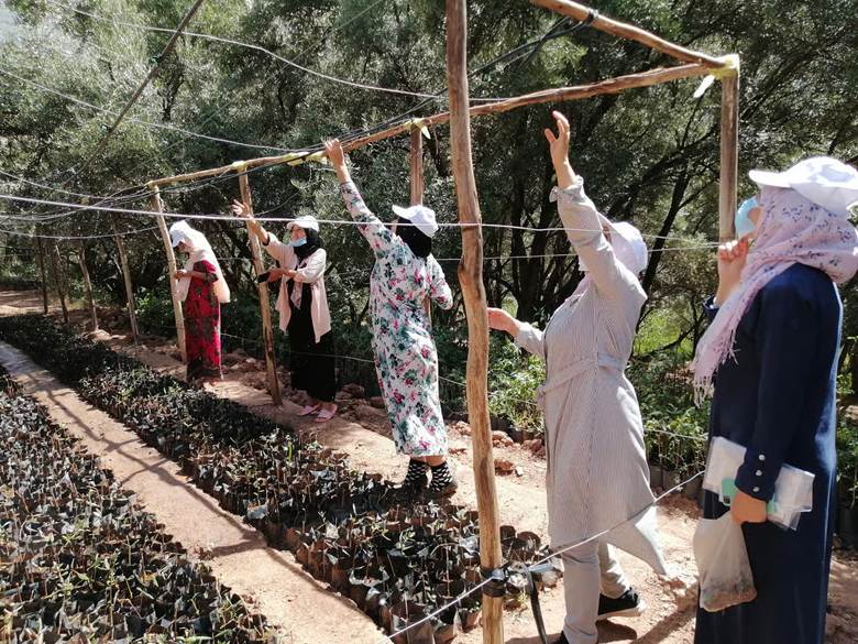 High Atlas Foundation and Carbon-Positive Travel: How Responsible Tourism Gives Back to Morocco