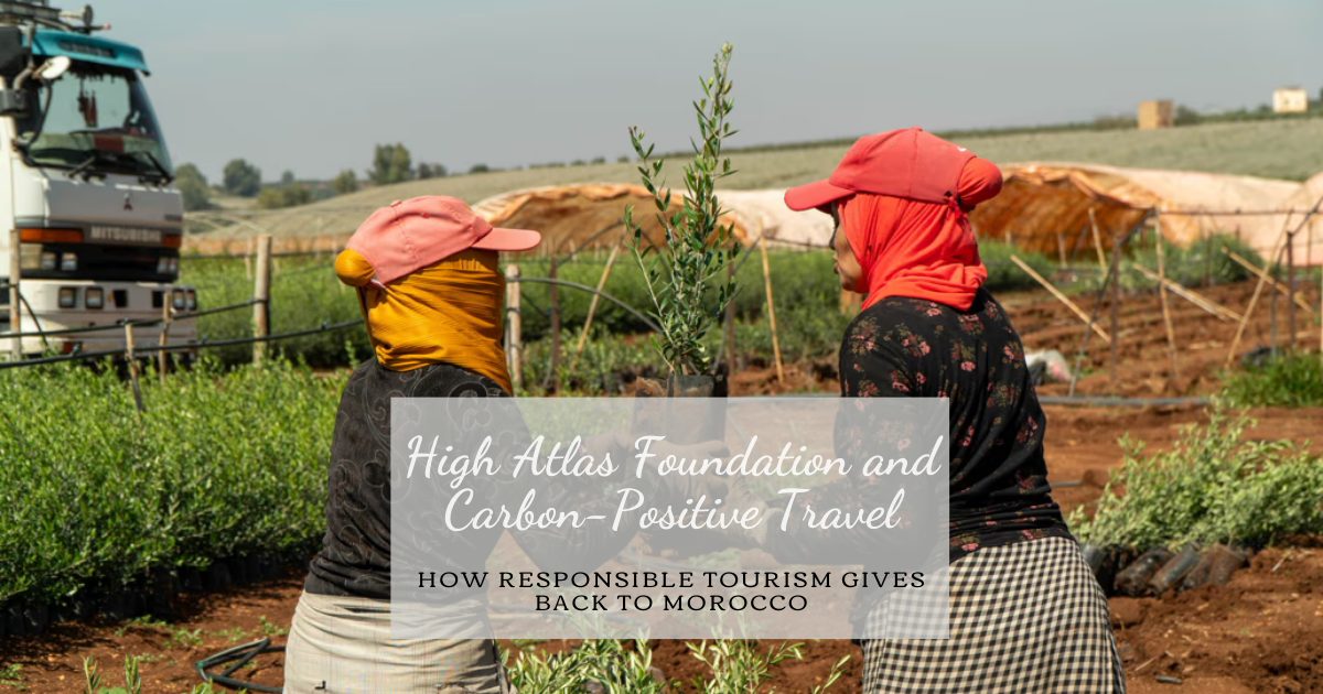 High Atlas Foundation and Carbon-Positive Travel: How Responsible Tourism Gives Back to Morocco